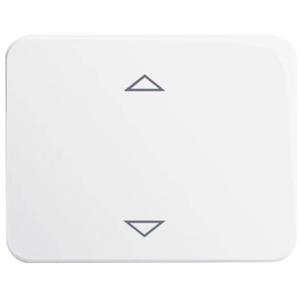 Busch-Jaeger 6430-24G-102 Ingangsmodule ↑/↓ Wit, Verkeerswit 1 stuk(s)
