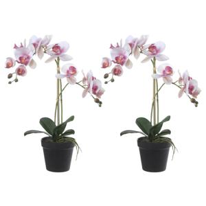 Orchidee bloemen kunstplant in pot - 2x - bloemen/bloemetjes - wit/roze/groen - H52 cm