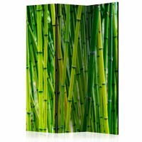 Vouwscherm - Bos van Bamboe 135x172cm gemonteerd geleverd, dubbelzijdig geprint (kamerscherm)