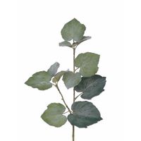 5x Kunstplant Linde Tilia bladgroen takken 50 cm groen - thumbnail