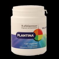 Plantina R-Alfaliponzuur natuurlijk 120 Capsules
