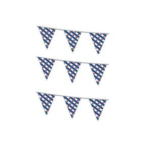 Vlaggenlijn Friesland - 3x stuks - 10 meter - kunststof