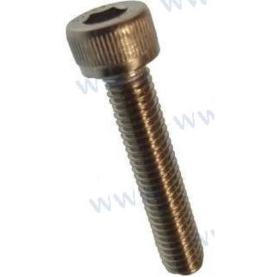 PAGB/T70.1-M5X25 - SCHROEF M5X25 Parsun