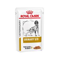 Royal Canin Urinary S/O Hond - 48 x 100 g maaltijdzakjes - thumbnail