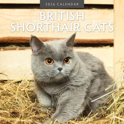 Brits Korthaar Kalender 2026