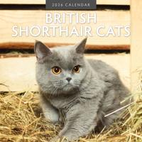 Brits Korthaar Kalender 2026