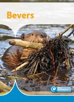 Bevers (Hardback)