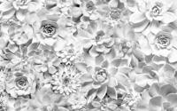 Noordwand Komar Pure Fotobehang Shades Black & White - P962-VD4