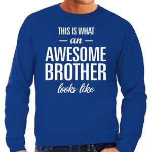 Awesome brother / broer cadeau sweater blauw heren