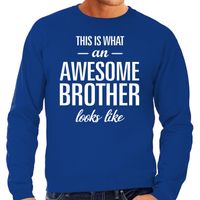 Awesome brother / broer cadeau sweater blauw heren - thumbnail