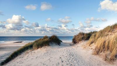 Duinen zee 130x70cm Tuinschilderij - Customize it