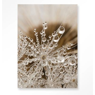 Wandkleed Landelijke Natuur 110x145 cm Wandkleed Landelijke Natuur 110x145 cm