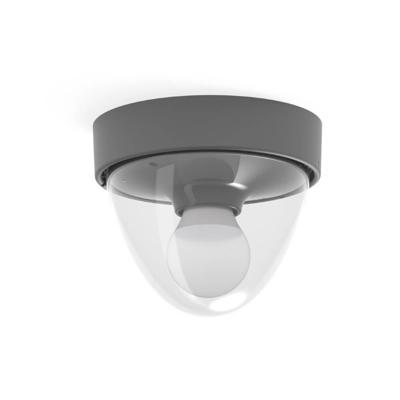 Lyora Antracieten plafondlampNook voor buiten - 7965