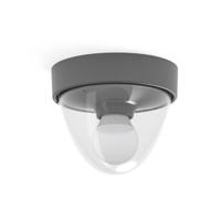 Lyora Antracieten plafondlampNook voor buiten - 7965