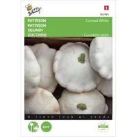 Patisson Custard White Patisson Custard White