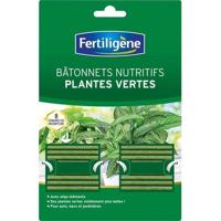 FERTILIGENE Nutritional Sticks Groene planten - 40 Sticks