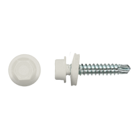 pgb-Europe PGB-FASTENERS | Zelfborende schroef bp1 4,8x35 Zn R9002 ZBG141001004890023