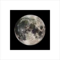Kunstdruk The Moon 40x40cm Kunstdruk The Moon 40x40cm