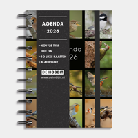 A6 Spiraal Agenda Vogels 2026