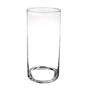 Cilinder vaas/vazen van glas 40 x 19 cm transparant