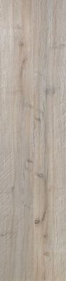 Flaviker Dakota Vloertegel | 40x170 cm | Gerectificeerd | Houtlook | Mat Bruin