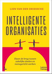 Intelligente organisaties - Lien Van den Driessche - ebook