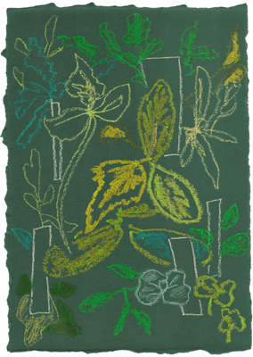 Moooi Carpets - Vloerkleed Sprouts Scarlet Green Wool -