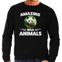 Sweater pandaberen amazing wild animals / dieren trui zwart voor heren - thumbnail