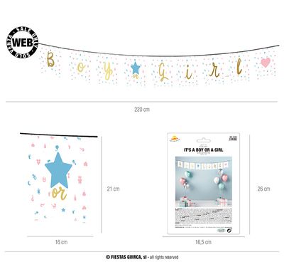 Letterslinger &apos;Boy or Girl&apos; Babyshower (220cm)