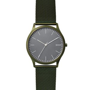 Skagen horlogeband SKW6425 Staal Groen 22mm