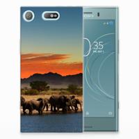 Sony Xperia XZ1 Compact | TPU Hoesje | Olifanten