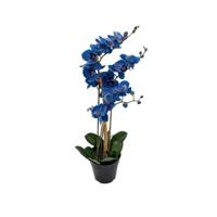 Phalaenopsis Orchidee in pot x3 60 cm Blue kunstplant Buitengewoon de Boet - Buitengewoon de boet