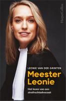Meester Leonie (Paperback)