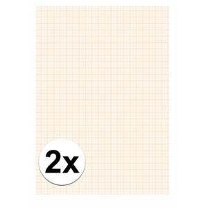 A4 papier met millimeter blokken - 2x - 25 vellen - 80 gram - blokjes papier