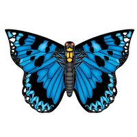 Vlinder vlieger blauw 71 cm breed/wijd - nylon