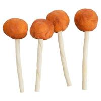 TRIXIE PREMIO LOLLY MET KABELJAUW