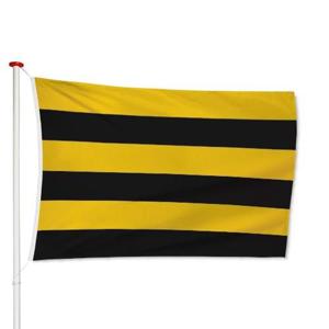 Vlag Schiedam