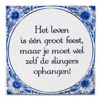 Delfts blauwe teksttegel leven - Fopartikelen - thumbnail