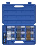 Reinigingsborstels-set 38-dlg. 820007