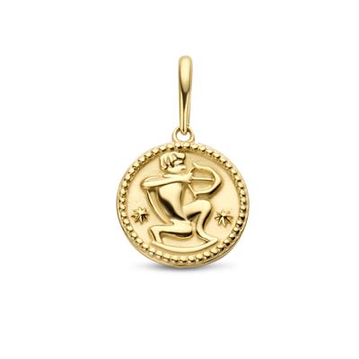 Minimalistische sterrenbeeld bedel - 14K GOUD - Sagittarius - boogschutter - Goud