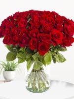 50 rode rozen - EverRed