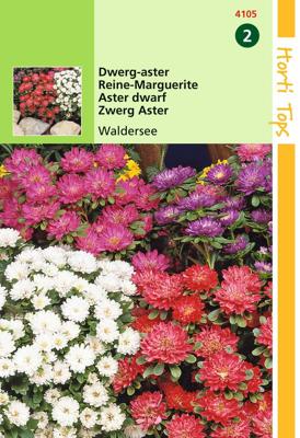 Callistephus Chinensis Waldersee Gemengd - Hortitops