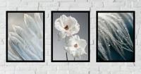 Posters - Witte Bloemen en Veren / Set van 3