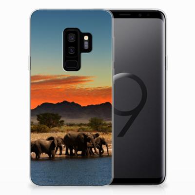 Samsung Galaxy S9 Plus | TPU Hoesje | Olifanten