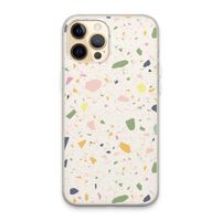 Terrazzo N°21: iPhone 13 Pro Max Transparant Hoesje