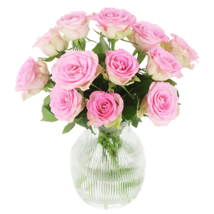 Sweet roses - roze rozen in brievenbuspakket