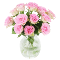 Sweet roses - roze rozen in brievenbuspakket Sweet roses - roze rozen in brievenbuspakket