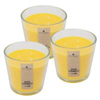 Atmosphera Candles Geurkaars - 3x - in glas - citronella aroma - 40 branduren - 13 x 12 cm