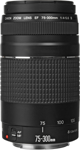 Canon EF 75-300mm f/4.0-5.6 III SLR Telelens Zwart