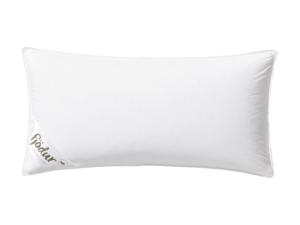 Fjödur Luxus 3-kamer ganzenveren/donzen hoofdkussen (40 x 80 cm)